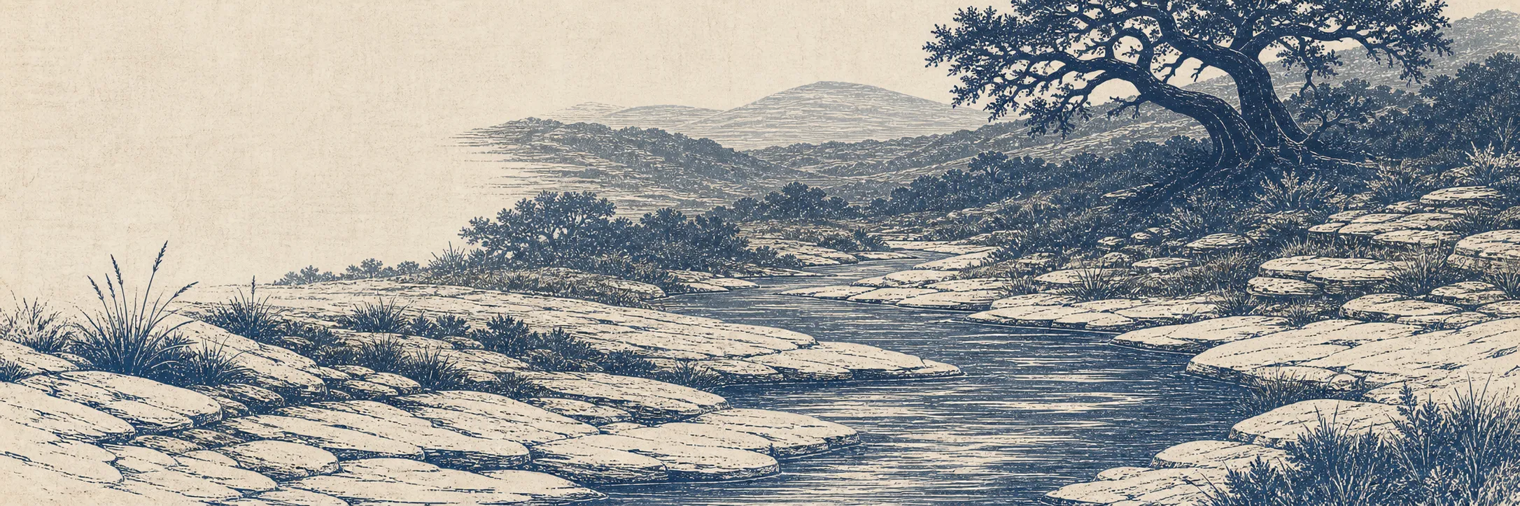 Woodblock-style print: a limestone creek winding through Texas Hill Country under a live oak